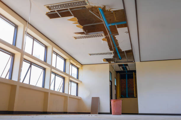 Best Sewage cleanup and water damage restoration  in New York Mills, MN