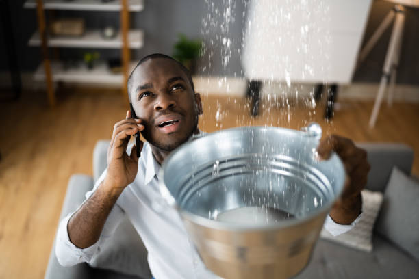 Trusted New York Mills, MN Water damage restoration Experts