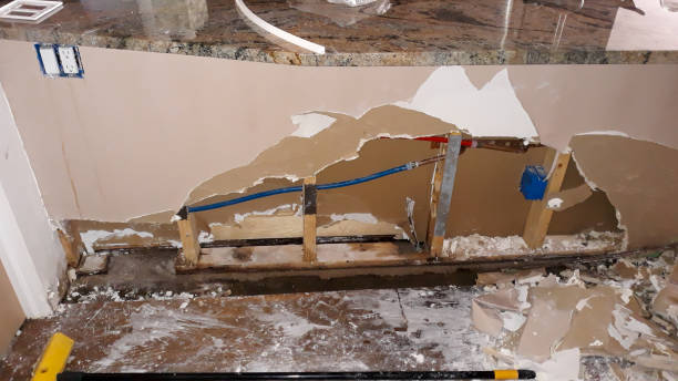 Best Mold removal after water damage  in New York Mills, MN