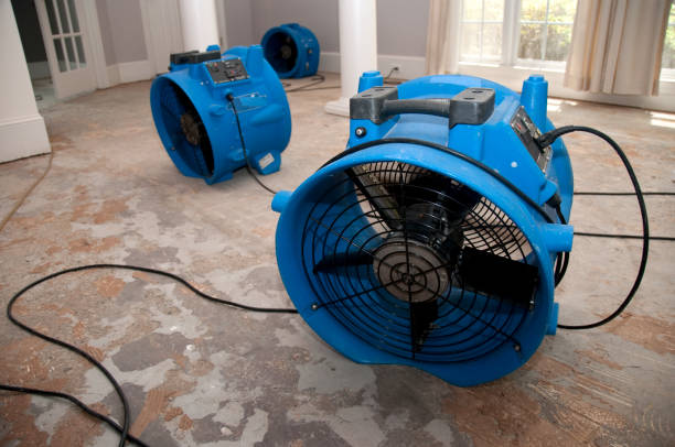 Best Residential water damage restoration  in New York Mills, MN