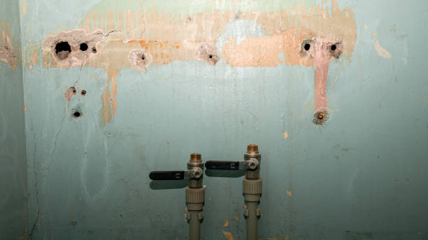 Fire Damage Restoration in New York Mills, MN