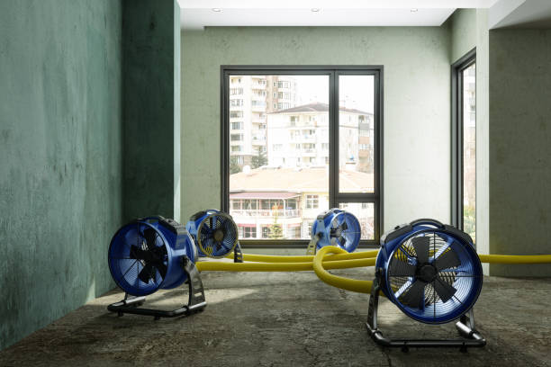 Best Emergency water damage restoration  in New York Mills, MN